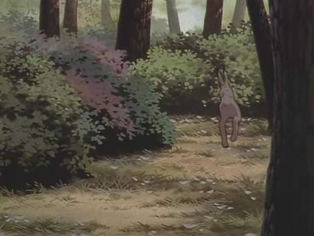 Episode 212