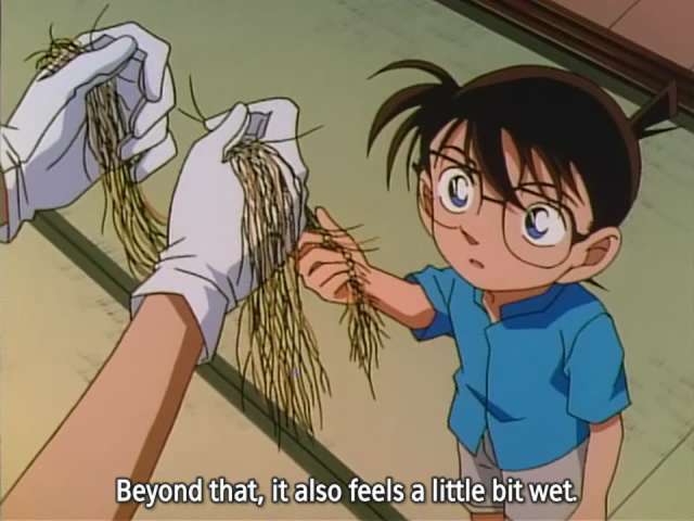 Episode 243